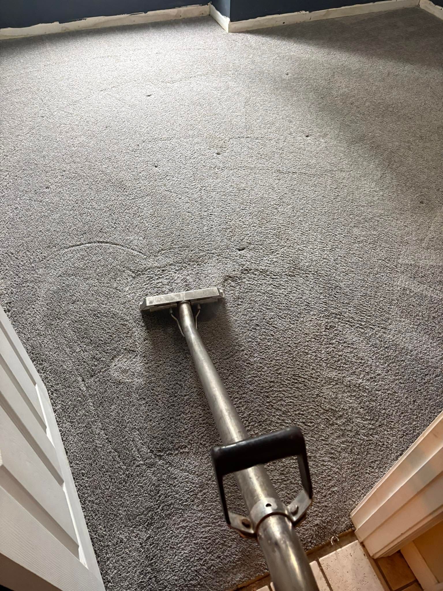 carpet cleaning