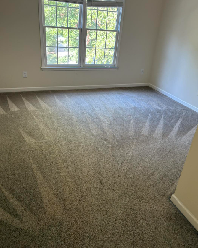 Empty beige carpeted room with a window letting in sunlight