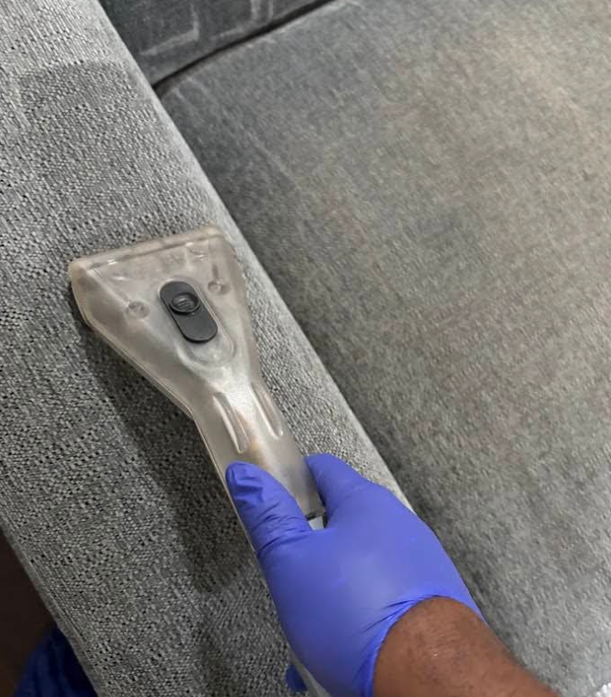 Blue-gloved hand holding a carpet-cleaning extractor on gray upholstery