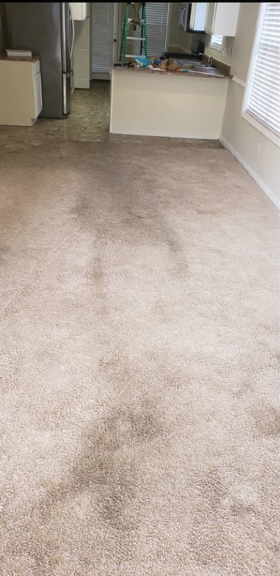 Carpeted hallway with a large dark stain leading to a kitchen area