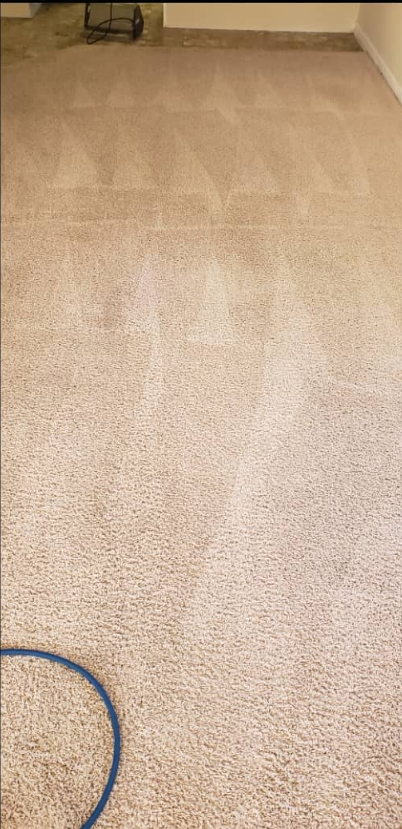 Beige carpeted floor with a blue hose visible at the bottom left.