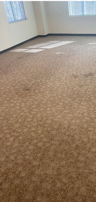 Empty carpeted room with windows and sunlight on the floor
