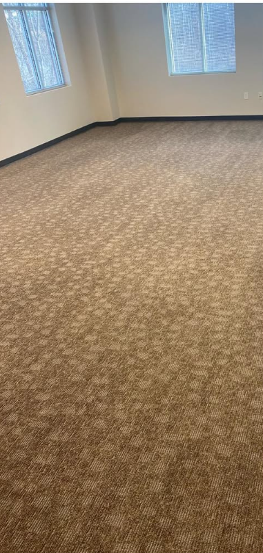 Empty carpeted room with beige walls and two windows letting in daylight