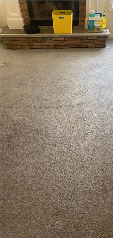 Carpeted room with a stone fireplace hearth and a yellow container beside cleaning supplies