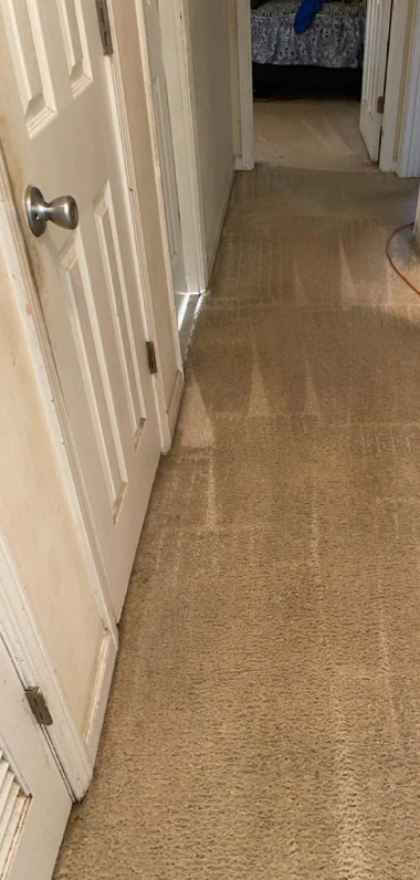 Narrow hallway with beige carpet and white paneled doors, viewed toward a room in the distance