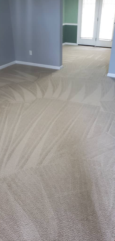 Empty beige carpeted room with gray walls and a doorway to a brighter adjoining space