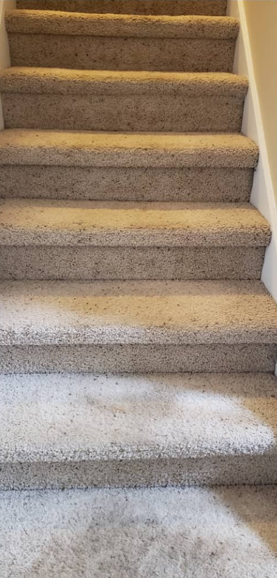Carpeted indoor staircase with beige steps and white stair trim