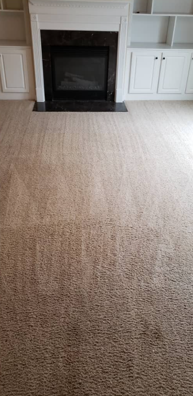 Carpeted living room with a black fireplace and white built-in cabinets on either side.