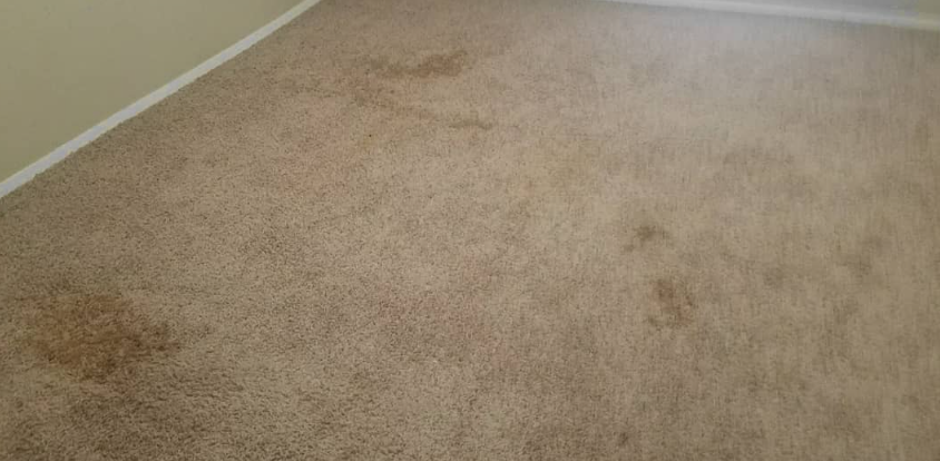 Beige carpet in a room corner with a few faint stains near the center