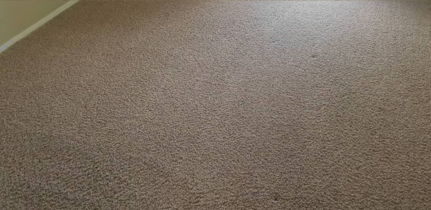 Close-up of beige speckled carpet flooring under soft light