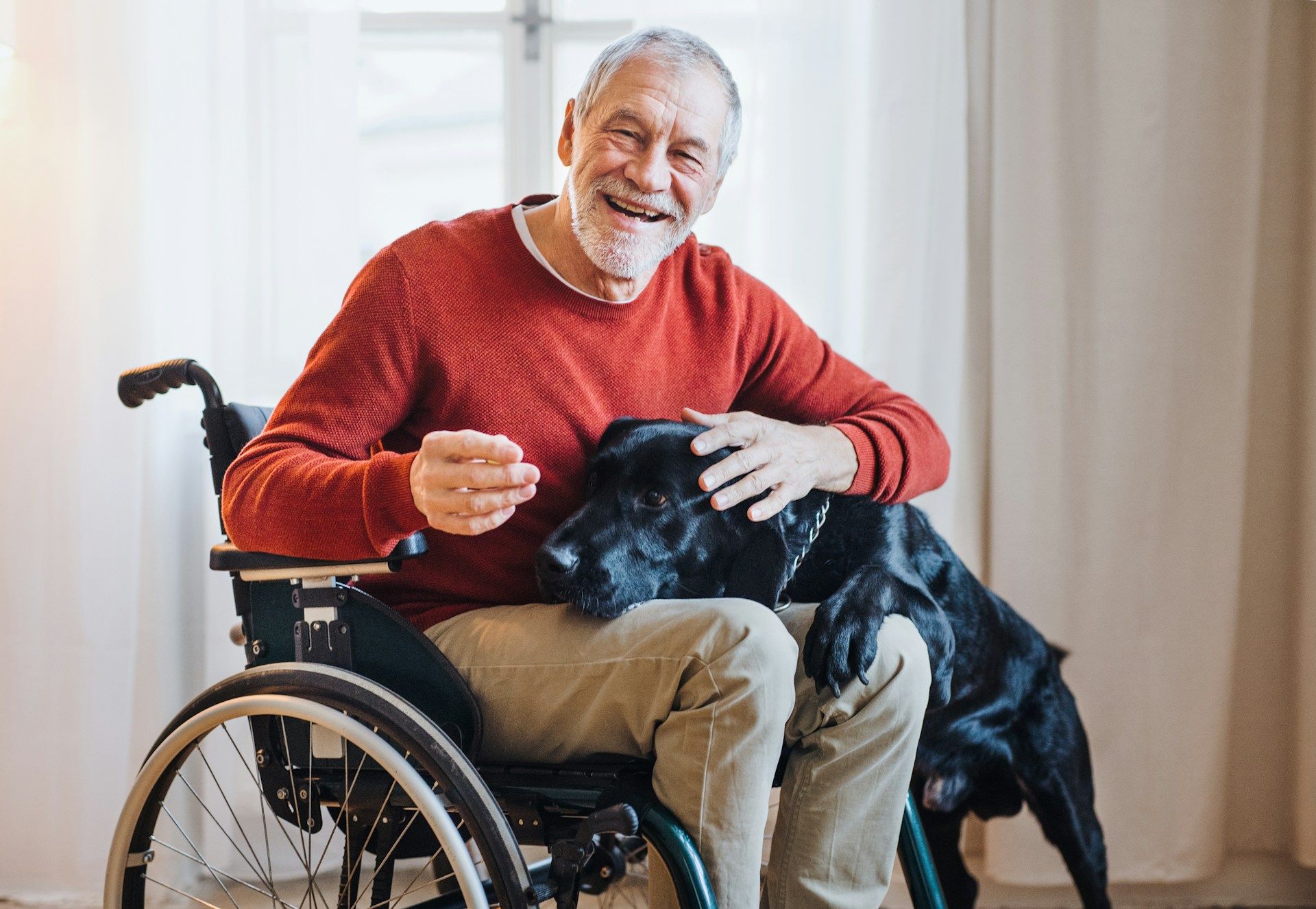 Smiling man in a wheelchair petting a black dog indoors beside a window