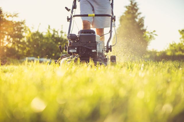 Person mowing a sunlit grassy field with a push lawn mower, low-angle view