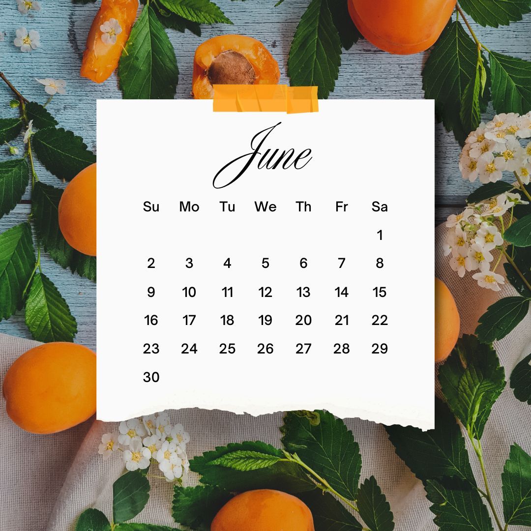 June Calendar — Franklin, TN — Shara Smile June Calendar — Franklin, TN — Shara Smile