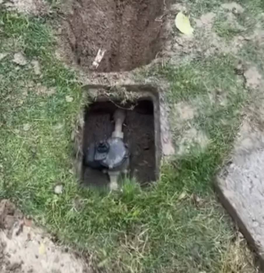 Exposed underground water main shutoff valve accessed during an emergency plumbing call in Bakersfield CA
