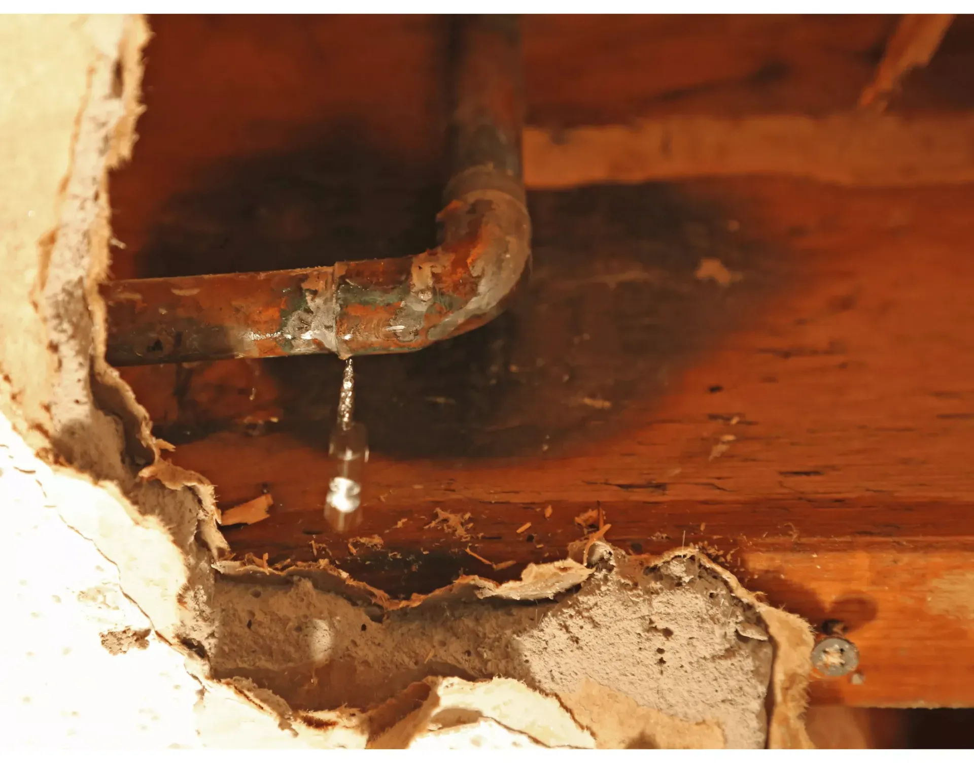 Corroded pipe inside a wall actively leaking water in a Bakersfield home