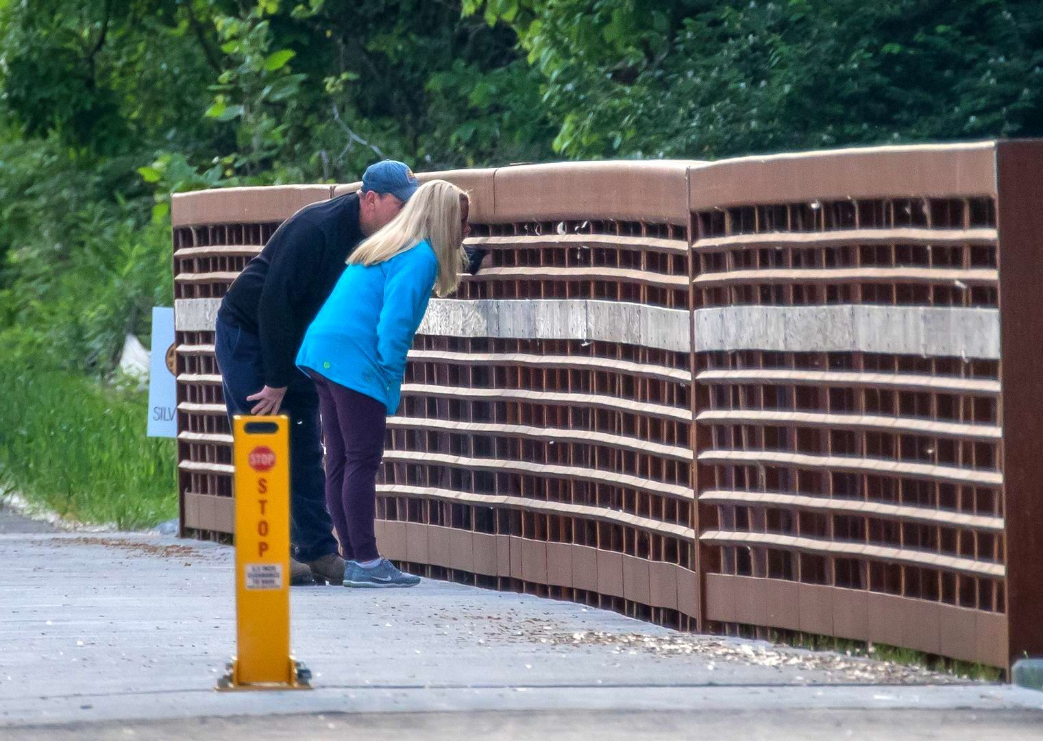 Man and woman look through openings overlooking Silver Creek on the Ohion River Greenway going out of New Albany, Indiana. A yellow