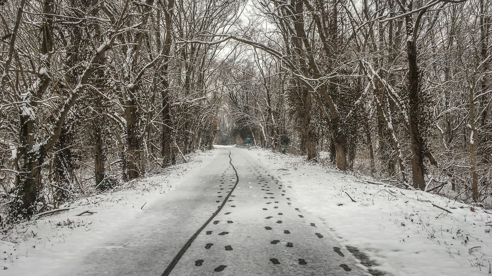 Snow-covered road through a forest, with footprints in the snow.