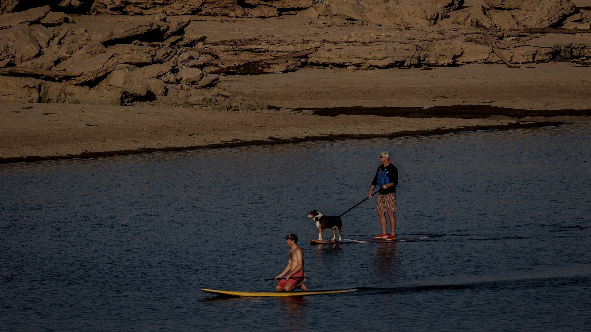 People paddleboarding with a dog on a calm lake near a sandy shore.