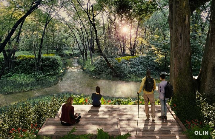 People enjoy a scenic view from a wooden platform in a lush forest. Sun glints over the water.