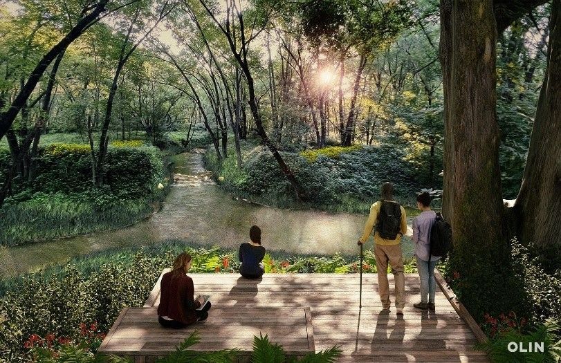 People on a wooden deck overlooking a lush, green stream and forest with the sun shining through trees.