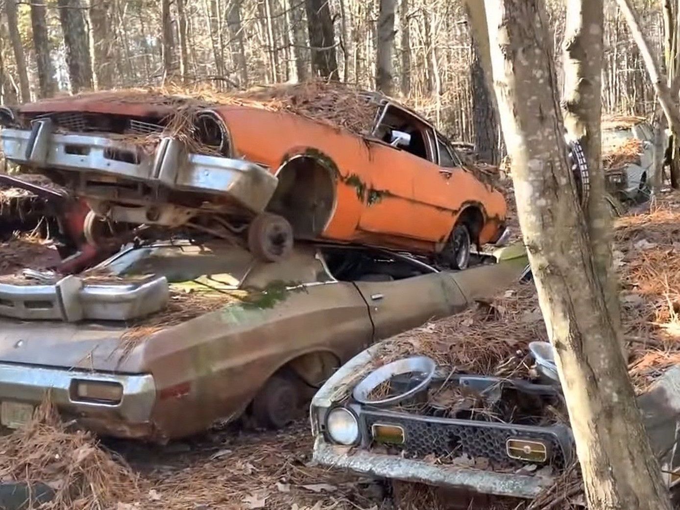 Pile of old, rusty cars in a wooded area. Orange car stacked on a brown car, decaying with age.