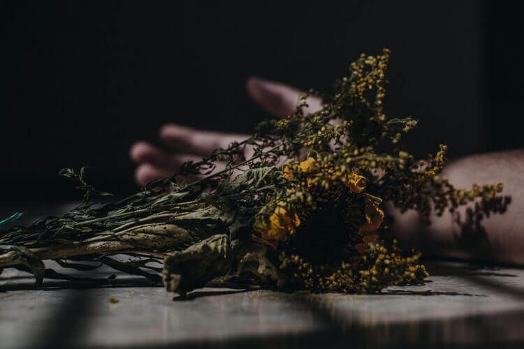 cremation services in Marietta, GA