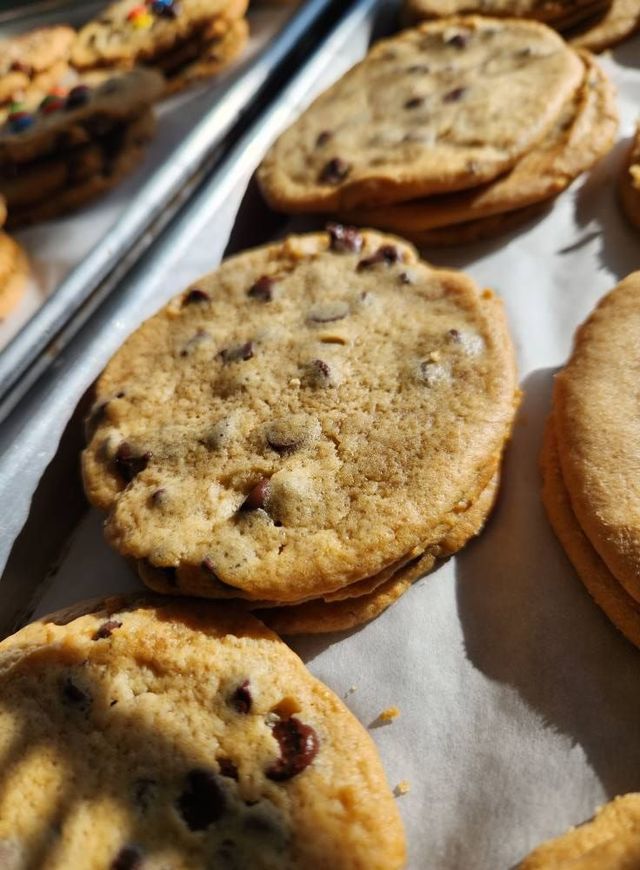 Tray of freshly baked chocolate chip cookies on parchment paper