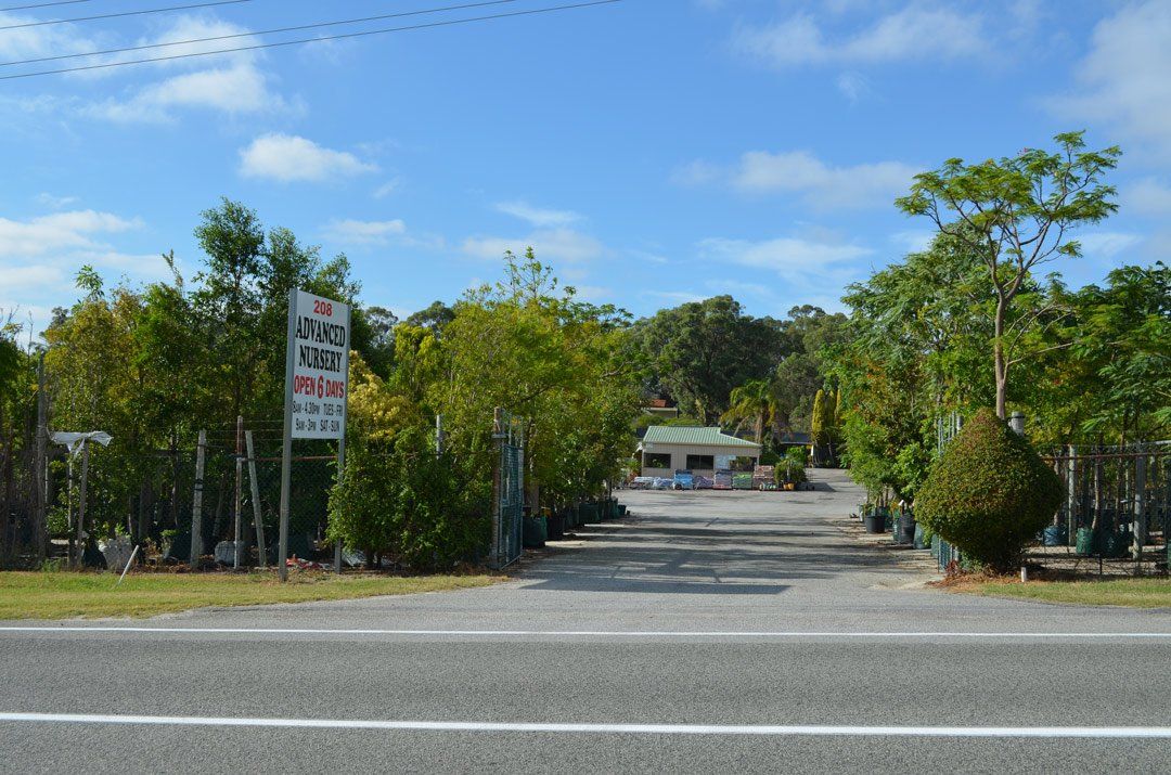 advanced-nursery1