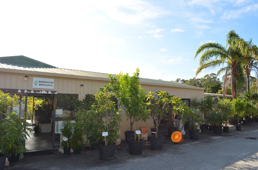 advanced-nursery13