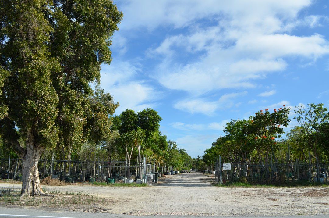 advanced-nursery5