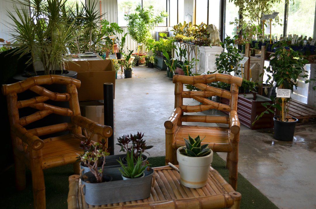 advanced-nursery30