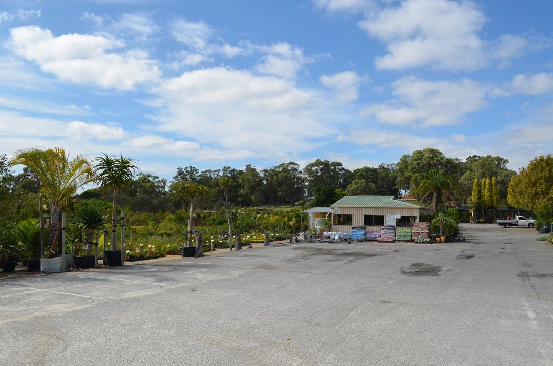 advanced-nursery2