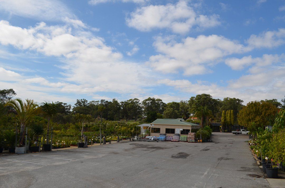 advanced-nursery6