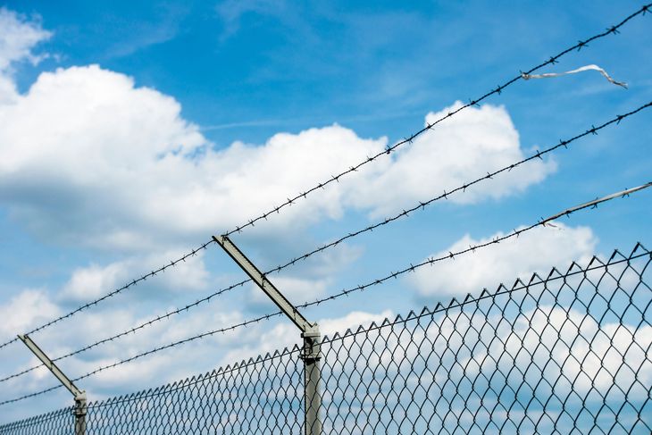 sistema antiintrusione per lupi