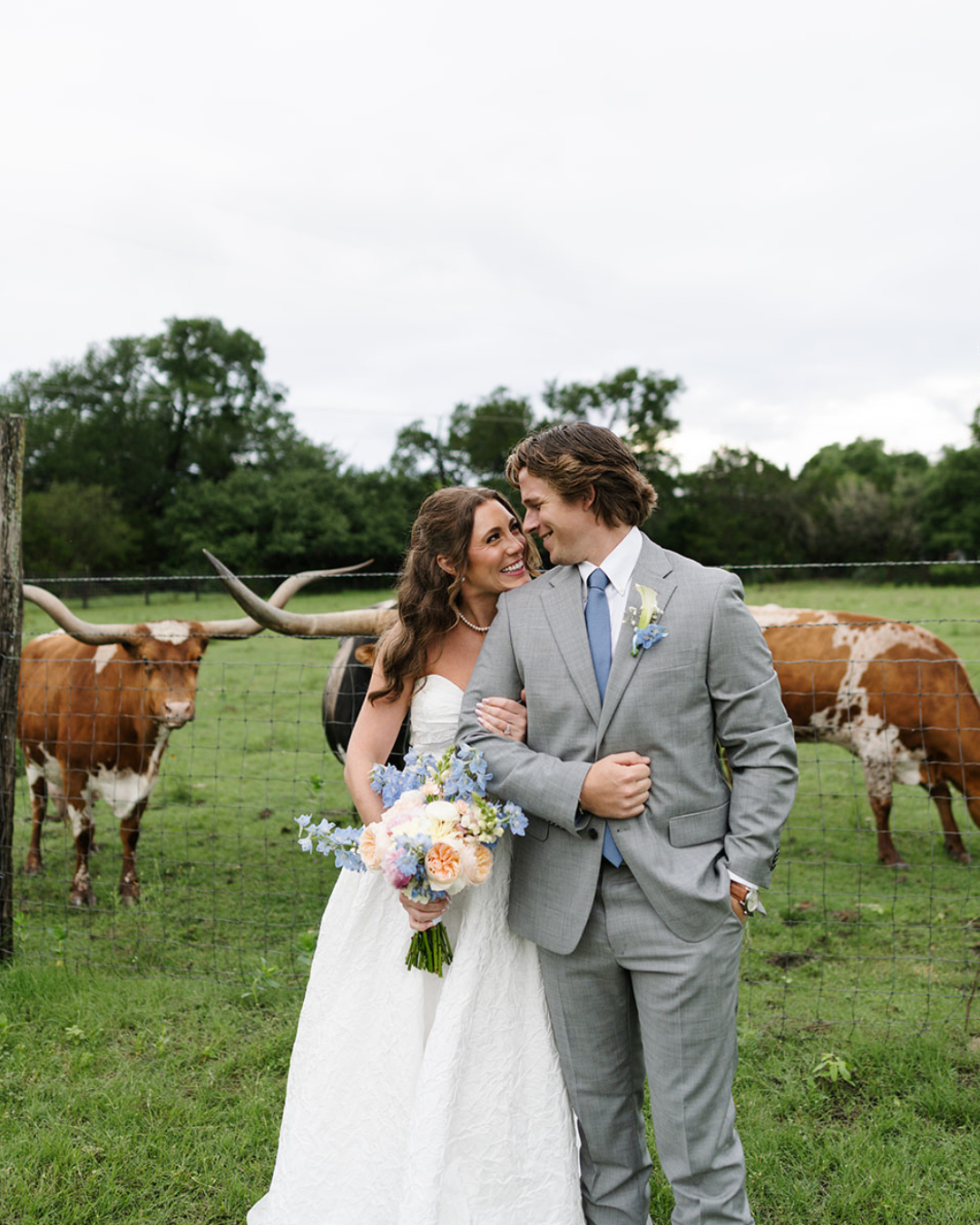 Couple in wedding attire kiss in a grassy field with cows behind them