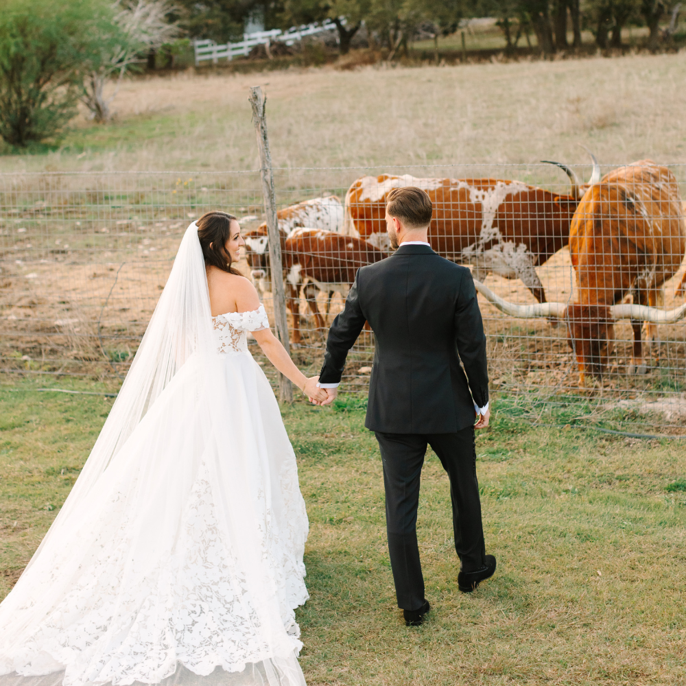 Bride and groom holding hands, walking toward horses in a fenced pasture