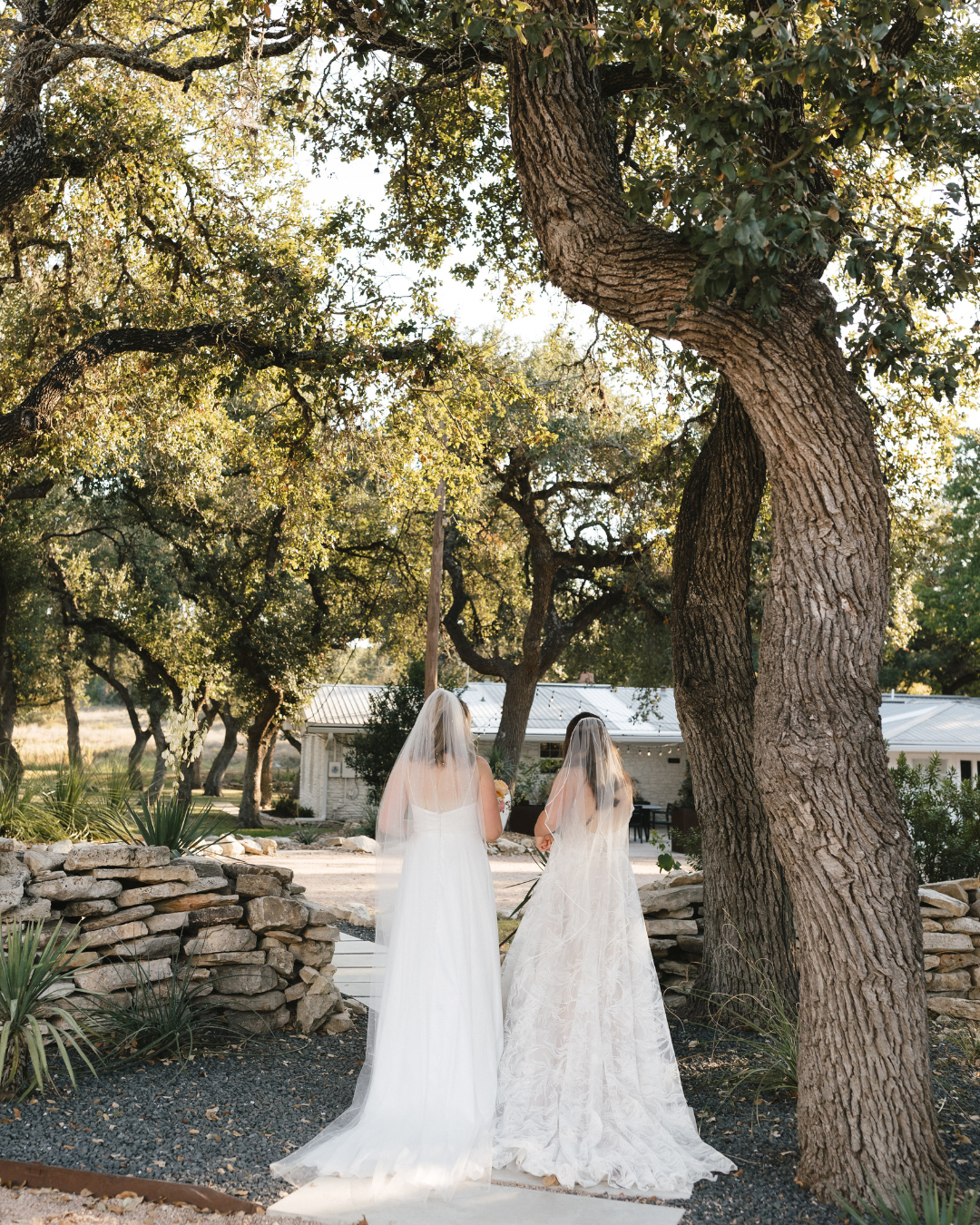 Two brides in white wedding dresses walk away from the camera along a path framed by large trees and a stone wall.