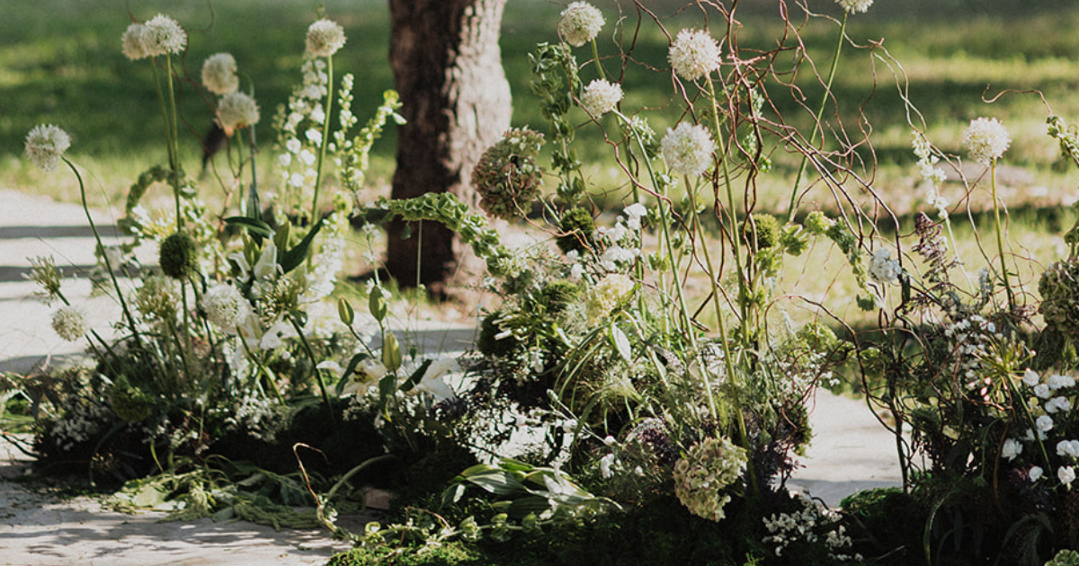Wildflowers and dandelions growing beside a sunlit stone path with a tree in the background