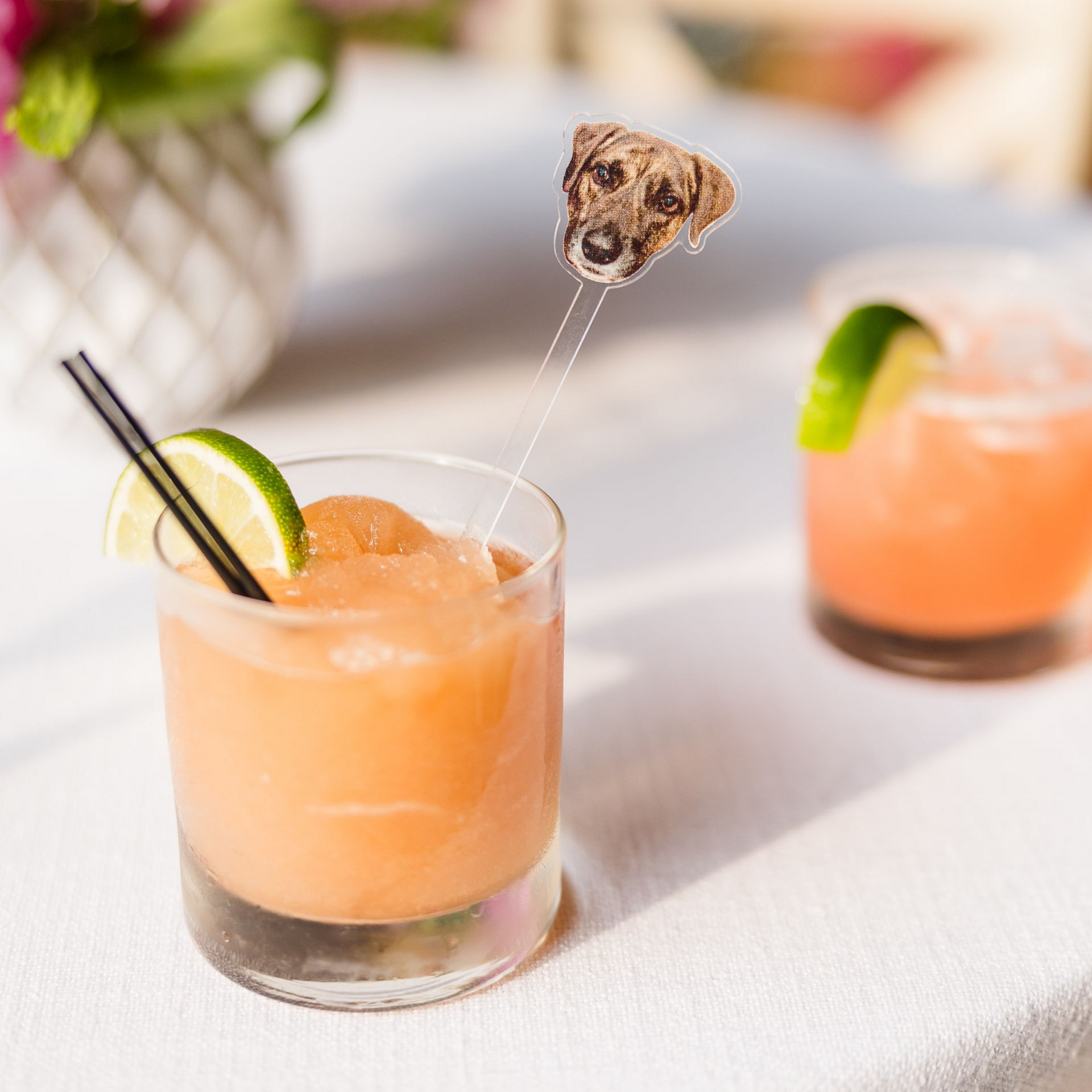 Two glasses of peach-colored cocktails with lime slices, one featuring a custom drink stirrer with a dog’s portrait.