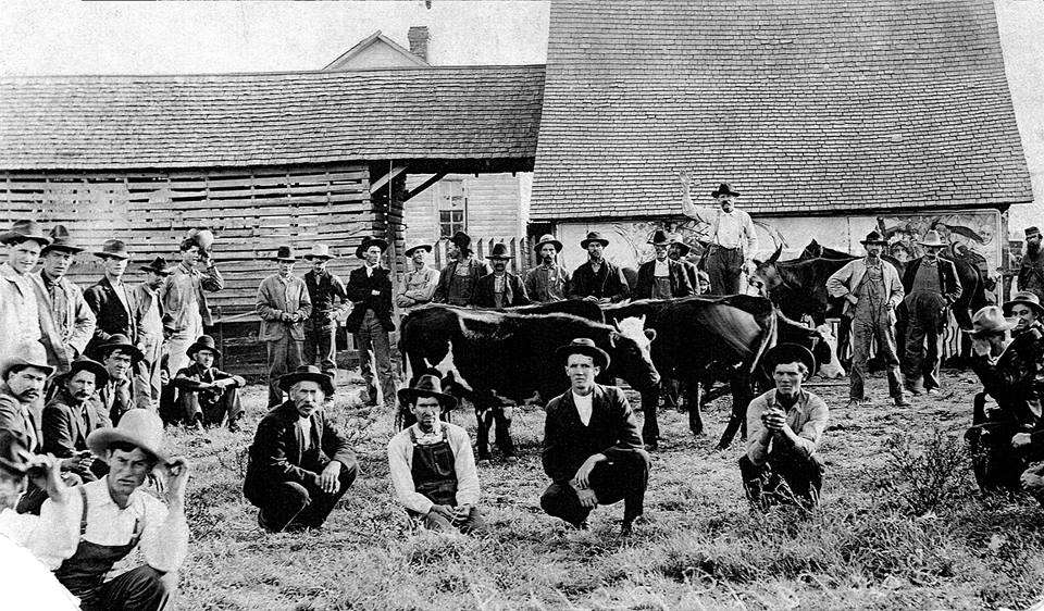 A black and white photo of a group of men and cows in front of a barn.