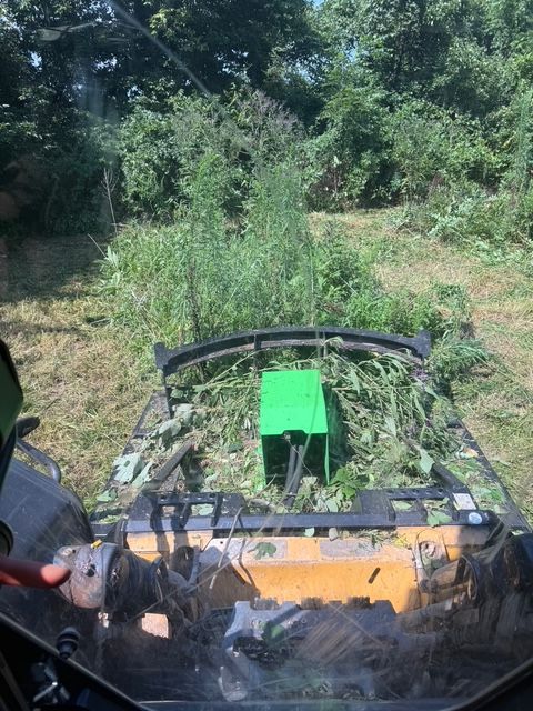 A first-person view from inside a machine clearing brush with a green-covered attachment in a grassy, wooded area.