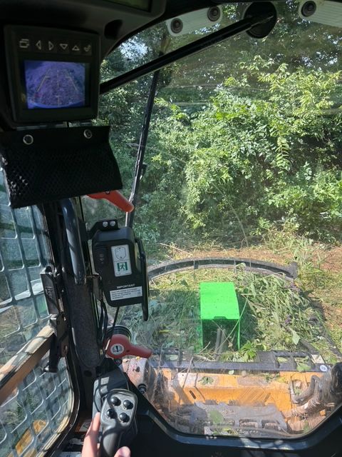 View from the cab of heavy machinery operating a green forestry mower in a wooded area.