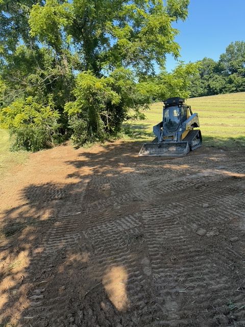 A yellow skid steer loader sits on cleared earth next to a large tree in a grassy field under a clear blue sky.