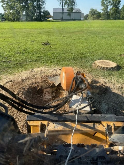 A stump grinder attachment working on a tree stump in a large grassy field with a distant building.