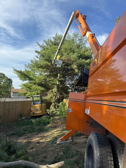 An orange utility truck with an extended boom bucket and a yellow mini-excavator working near a tree and wooden fence.