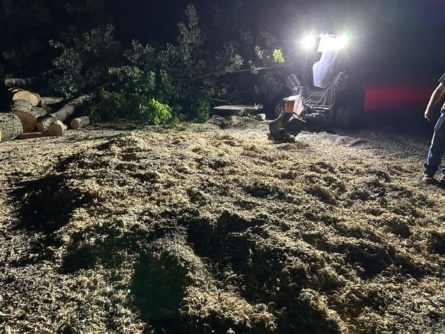 A night scene shows a pile of wood chips spread across the ground, with a vehicle’s bright headlights illuminating a tree.