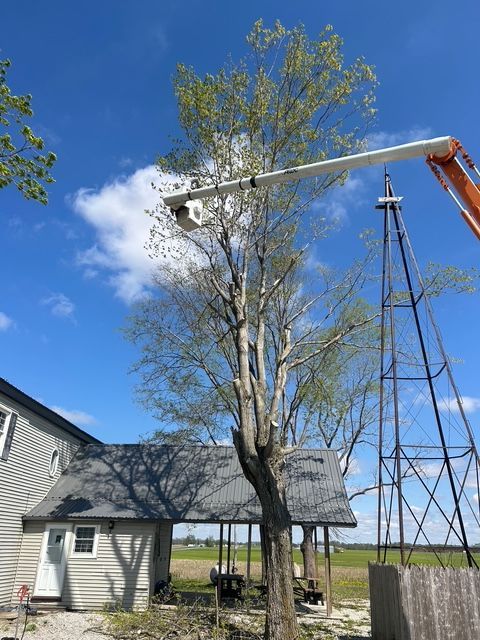 A crane truck bucket reaches up into the branches of a tree near a house and an old windmill on a sunny day.