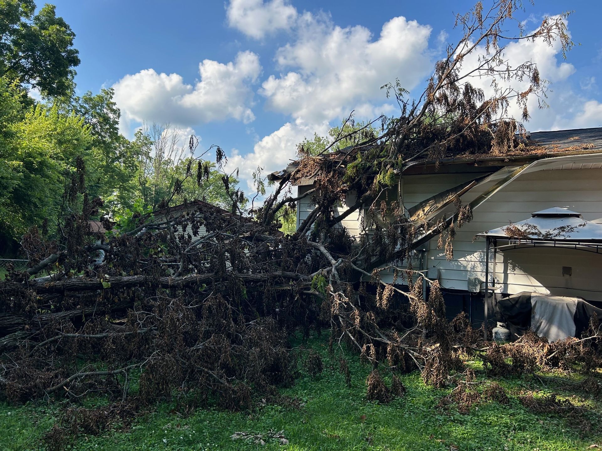 A large, fallen tree rests across the roof of a white house under a bright blue sky.
