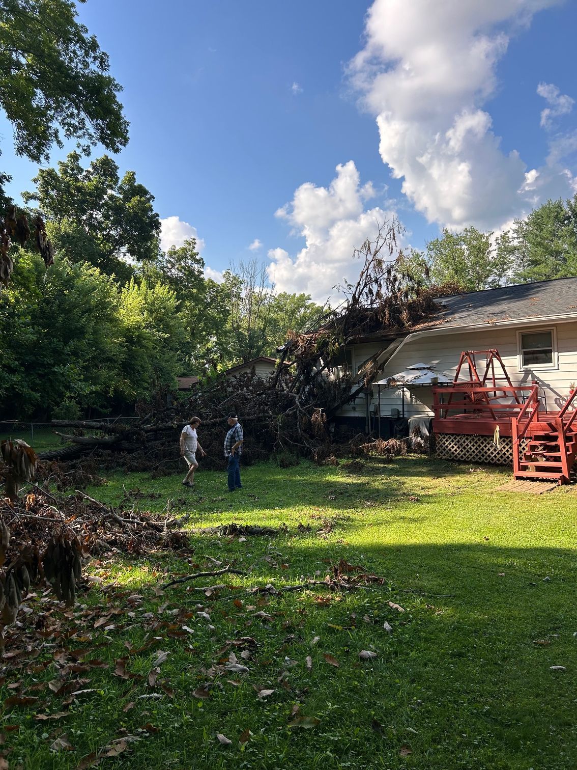 Two people stand in a sunny backyard as a large fallen tree rests against the side of a house and its wooden deck.