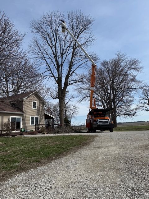 An orange utility truck with a raised bucket arm reaching into the canopy of a tall, bare tree next to a house.